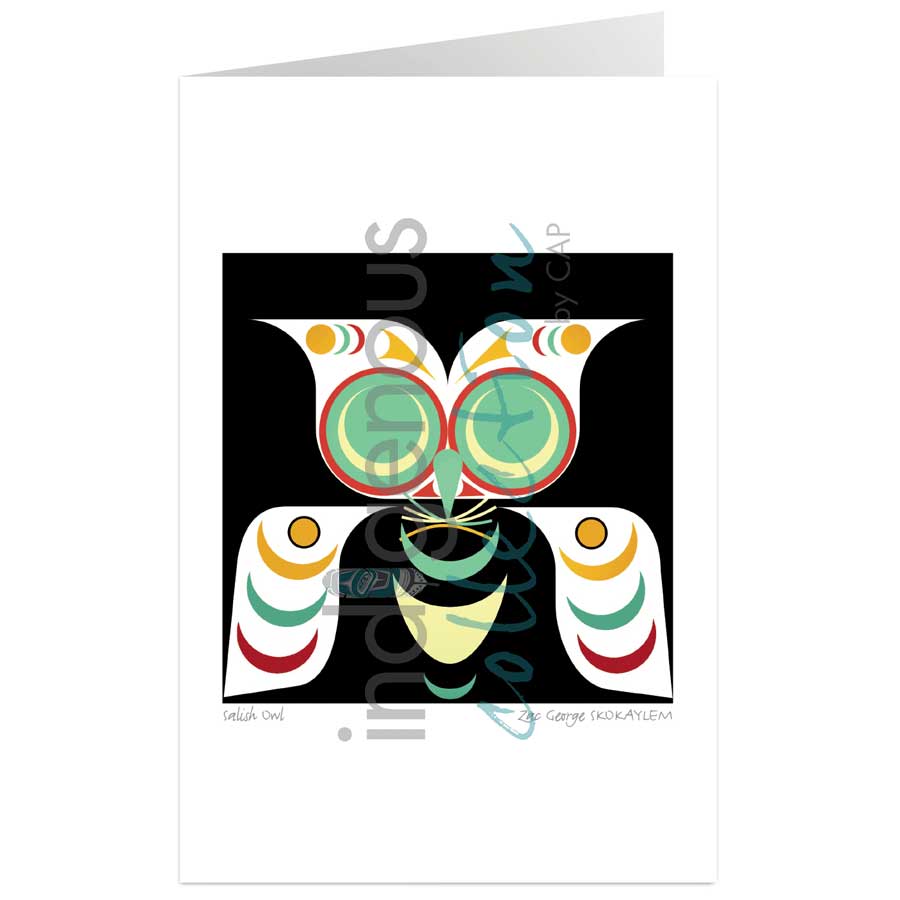 Salish Owl by artist Zac George SKOKAYLEM