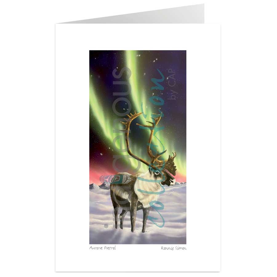 Aurora Patrol by artist Ronnie Simon