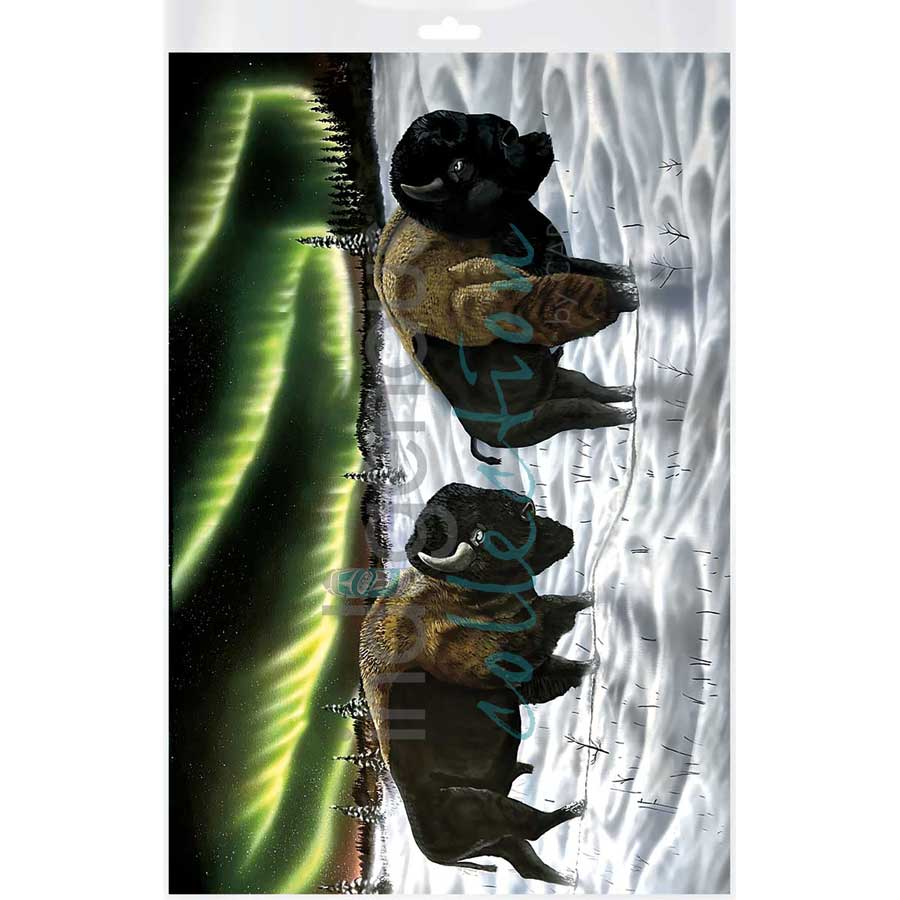 Broken Shadows by artist Ronnie Simon - Gwich'in. Indigenous Collection