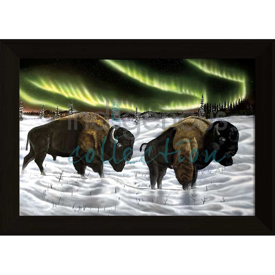Broken Shadows by artist Ronnie Simon - Gwich'in. Indigenous Collection