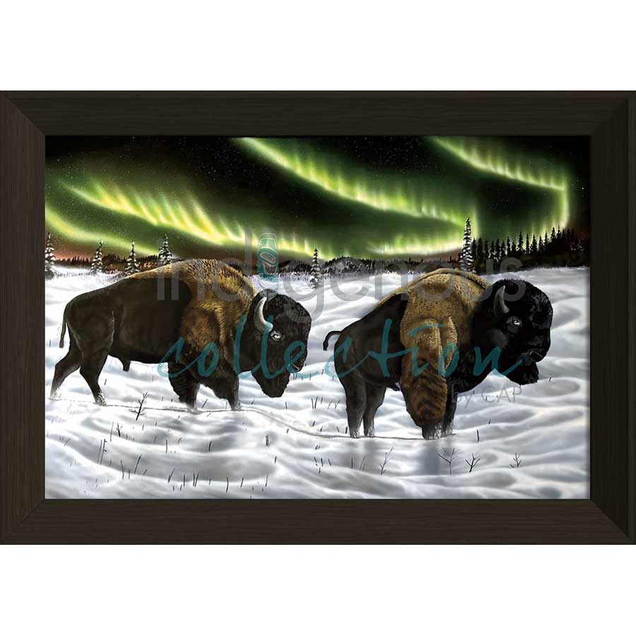 Broken Shadows by artist Ronnie Simon - Gwich'in. Indigenous Collection