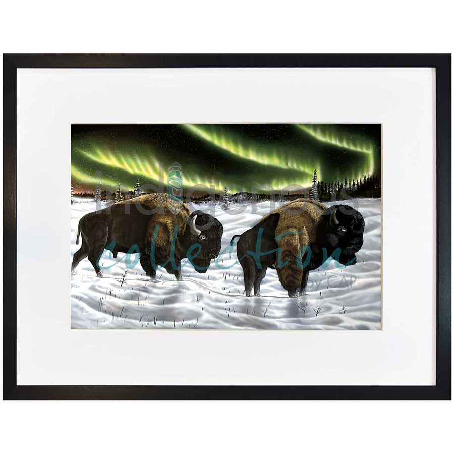 Broken Shadows by artist Ronnie Simon - Gwich'in. Indigenous Collection