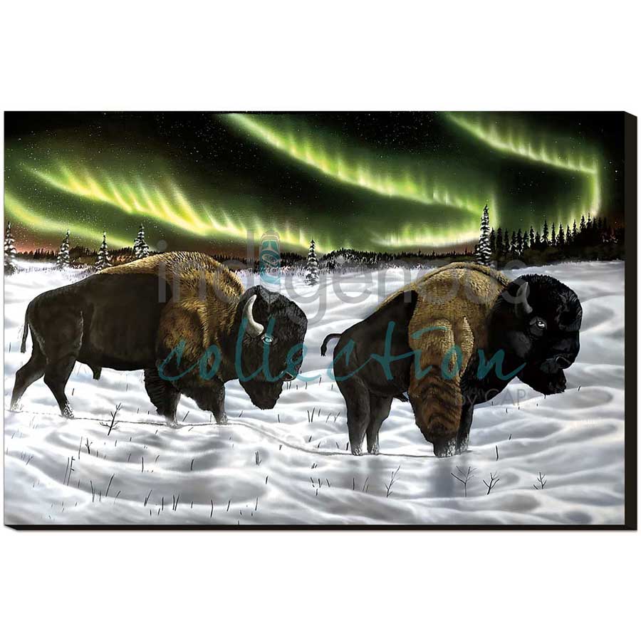 Broken Shadows by artist Ronnie Simon - Gwich'in. Indigenous Collection