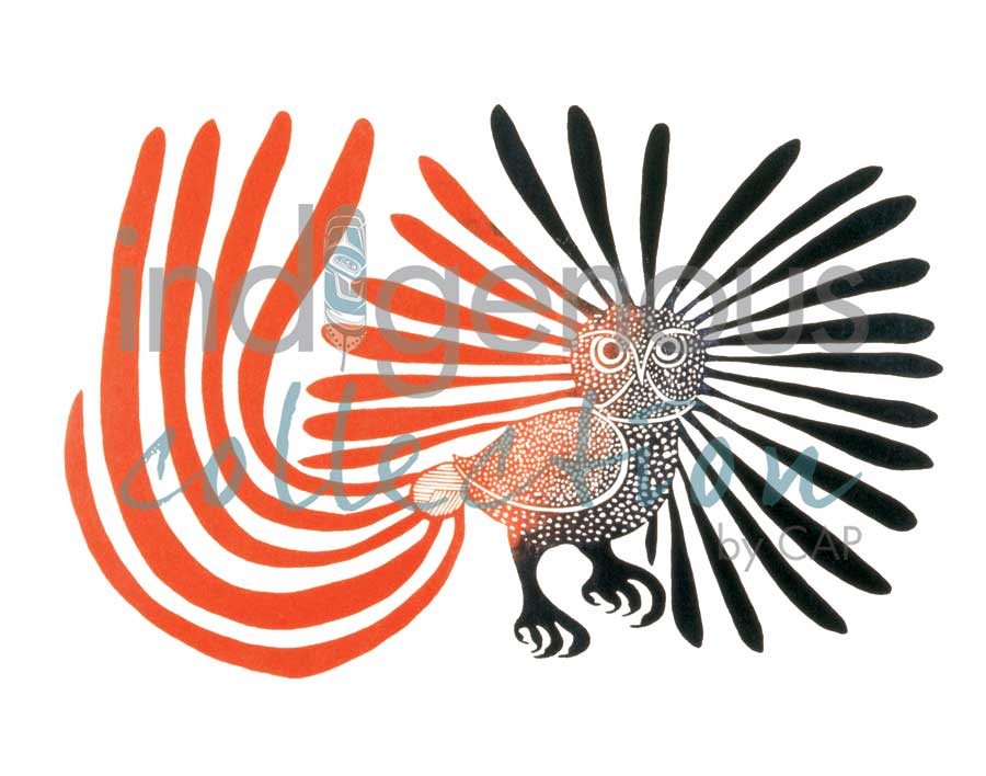 Enchanted Owl by artist Kenojuak Ashevak