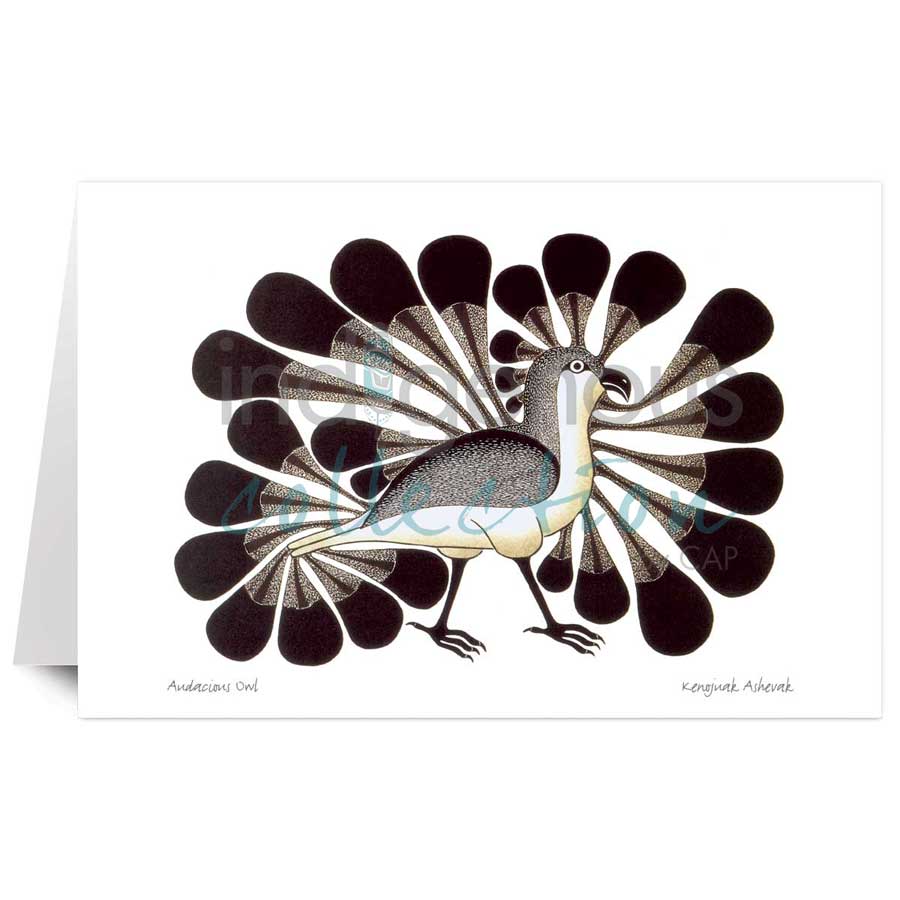 Audacious Owl by artist Kenojuak Ashevak