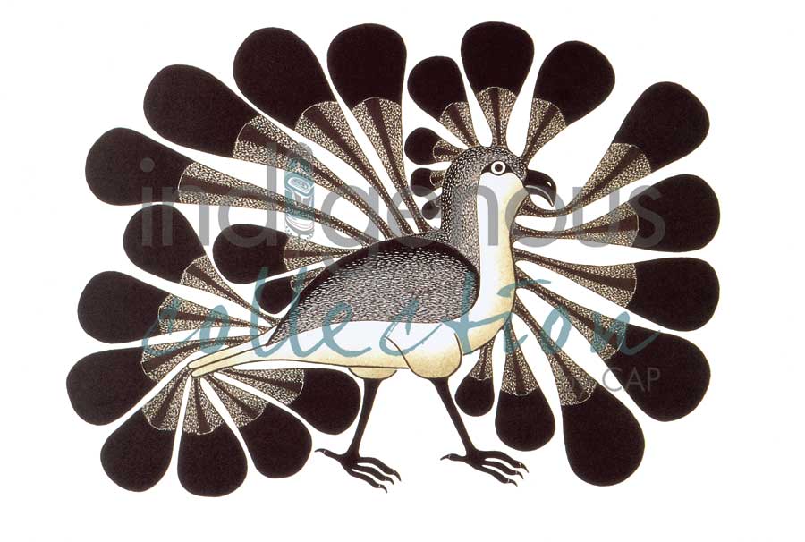 Audacious Owl by artist Kenojuak Ashevak
