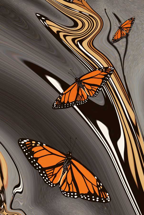 Transformation by artist Rick Beaver