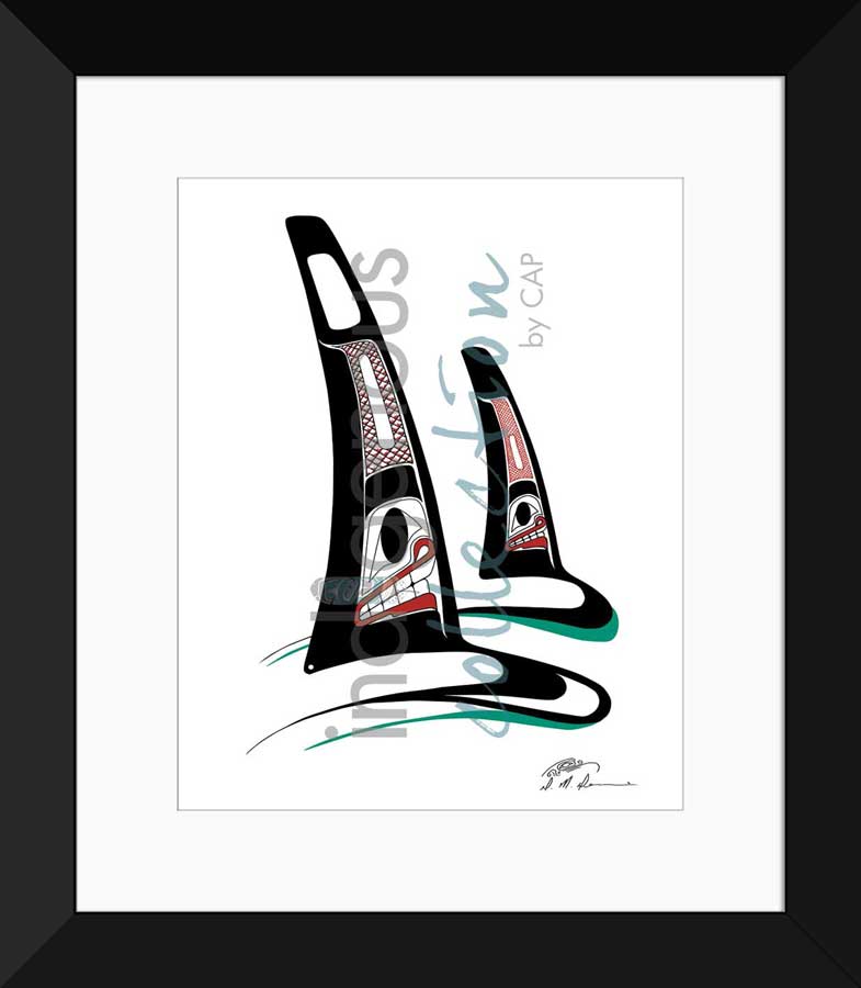Orcas Limited Edition. Indigenous Collection