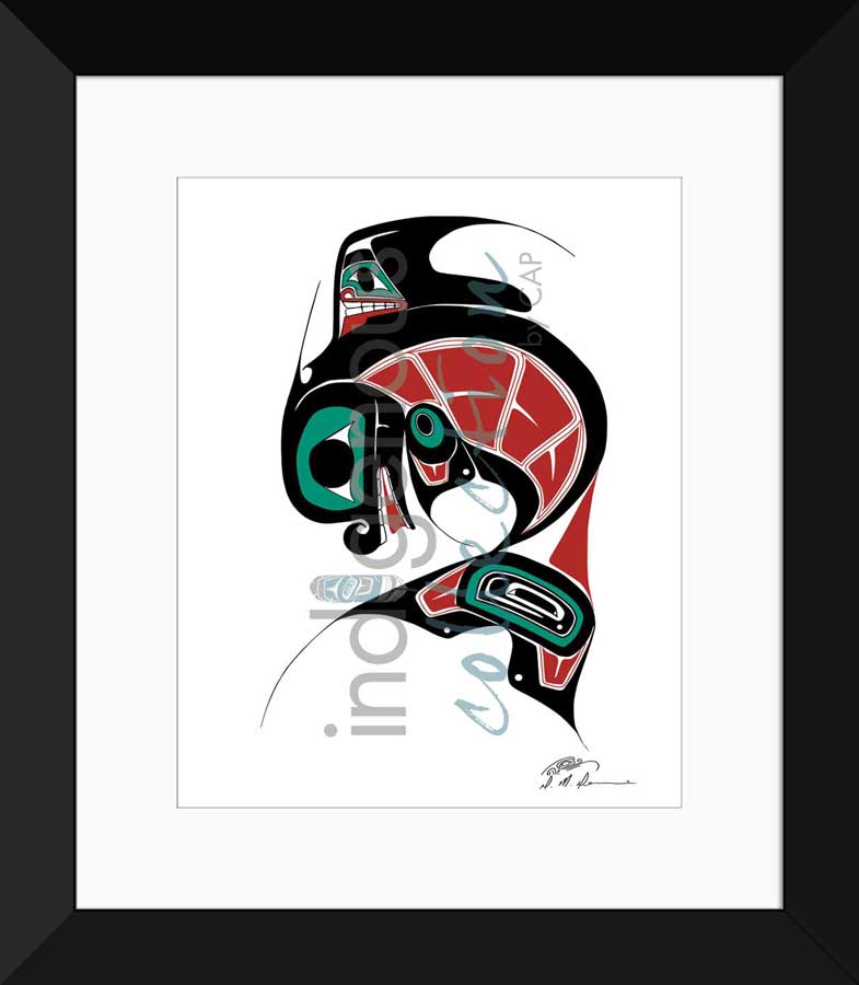 Killer Whale Limited Edition. Indigenous Collection