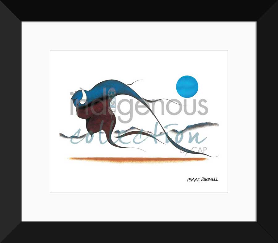 Buffalo Spirit Limited Edition. Indigenous Collection