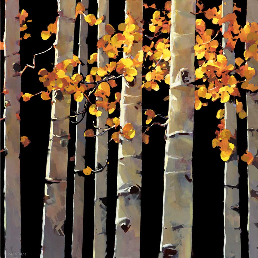 Aspen Grove by artist  Michael O'Toole