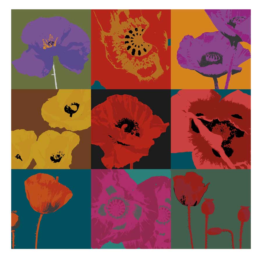 Pop Poppies by artist Don Li-Leger