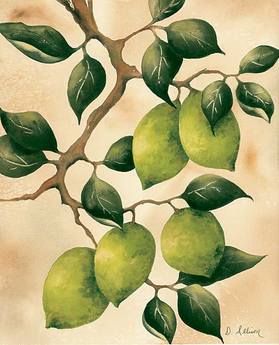 Italian Harvest - Limes by artist  Doris  Allison