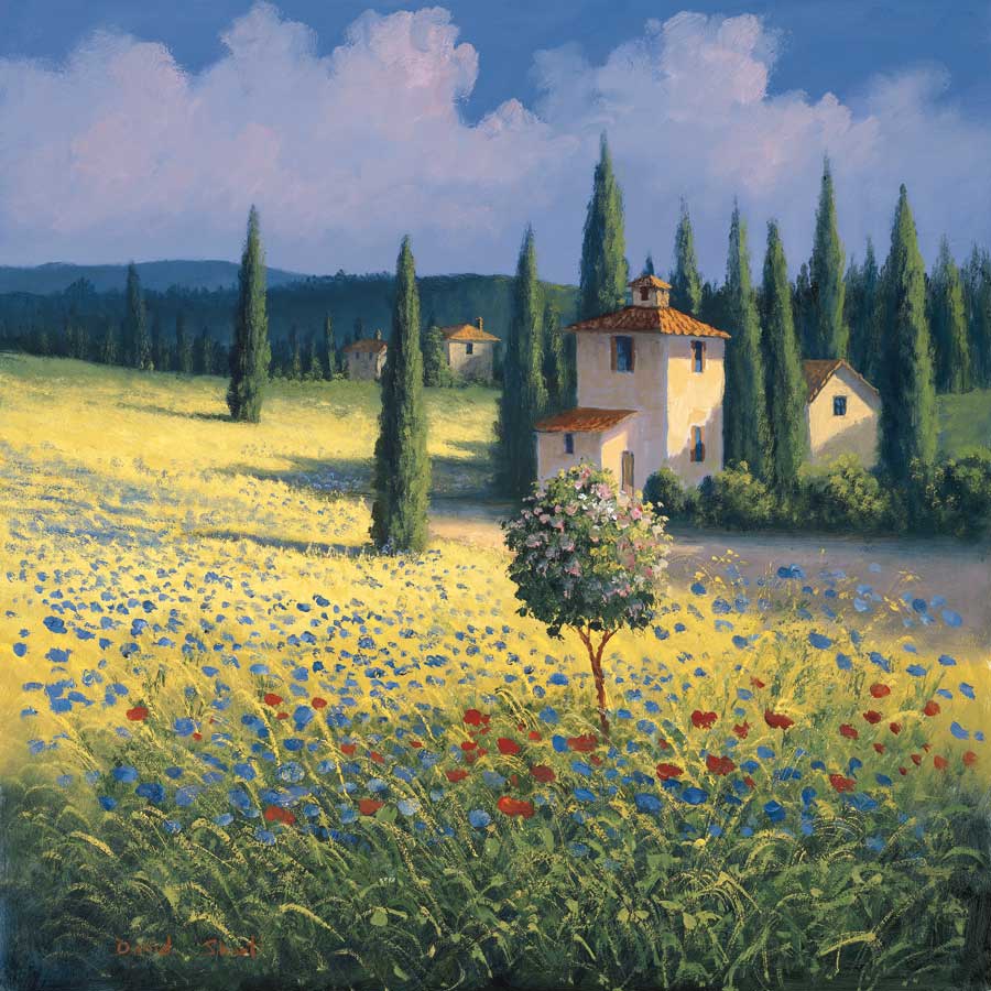 Tuscan Poppies I by artist  David Short