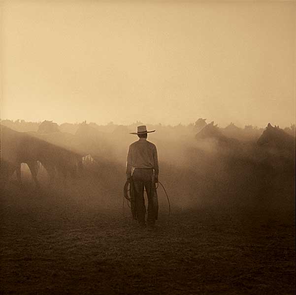 On The Range I - Remuda 5 by artist  Adam  Jahiel