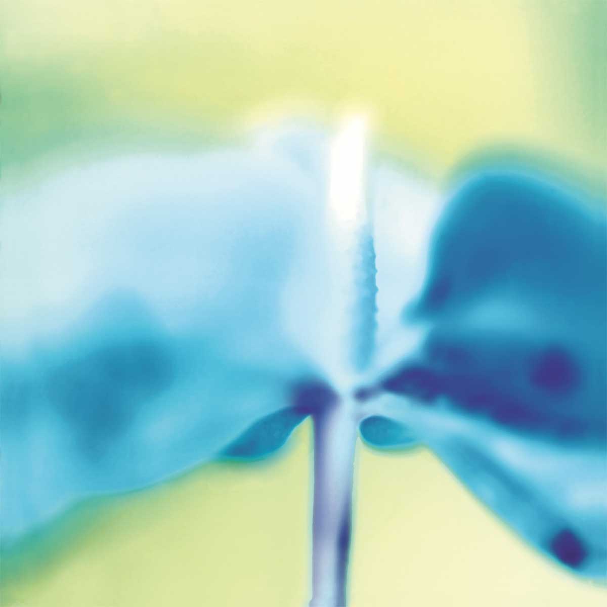 Blue Indigo by artist  Jane-Ann Butler