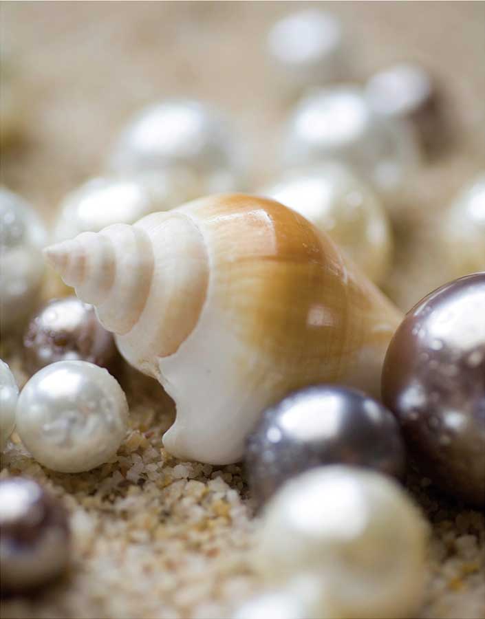 Sea Jewels I by artist  Boyce Watt