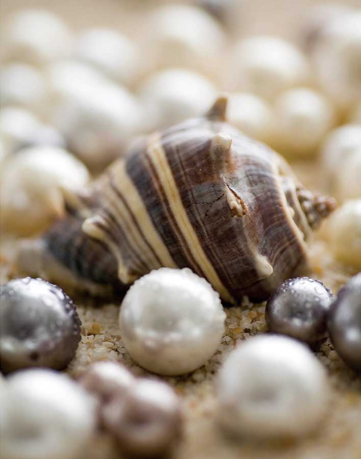 Sea Jewels II by artist  Boyce Watt