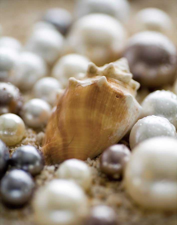 Sea Jewels III by artist  Boyce Watt