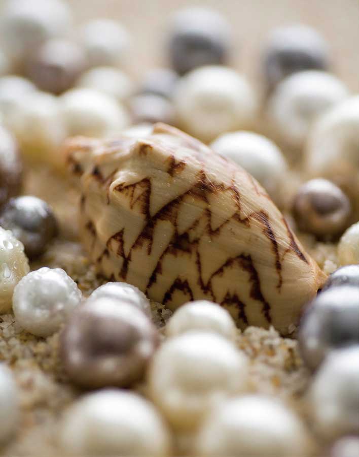 Sea Jewels IV by artist  Boyce Watt