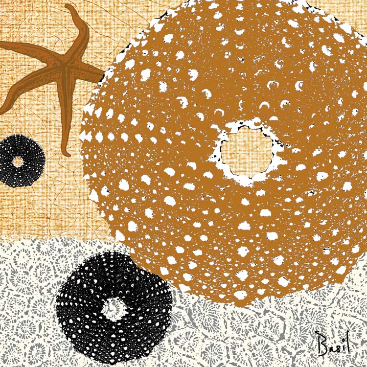 Tidepools Dreams I by artist  Jason (D. Li-Leger) Basil