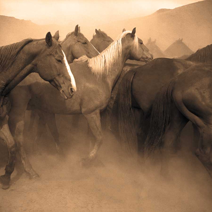 Remuda, Spanish Ranch by artist  Adam Jahiel