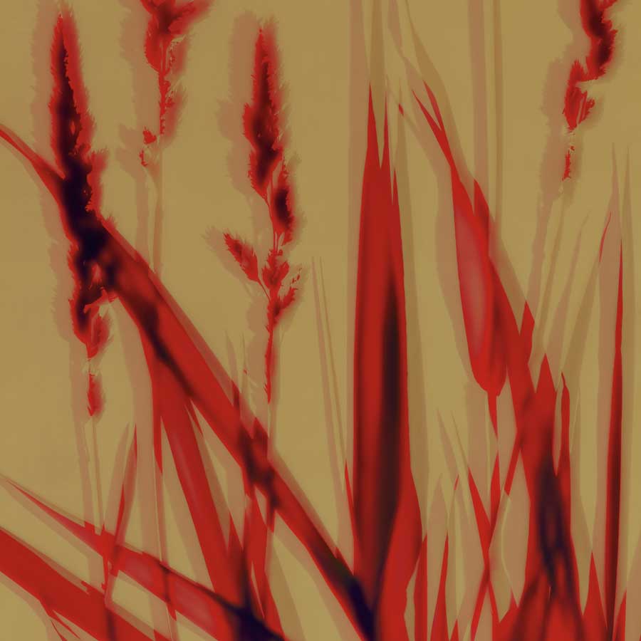 Meadow by artist  Ethan  Jantzer