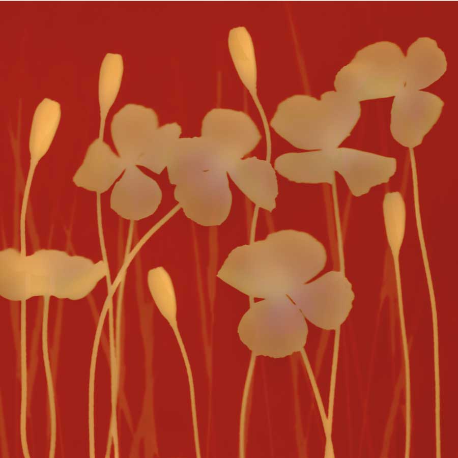 Charms by artist  Ethan  Jantzer