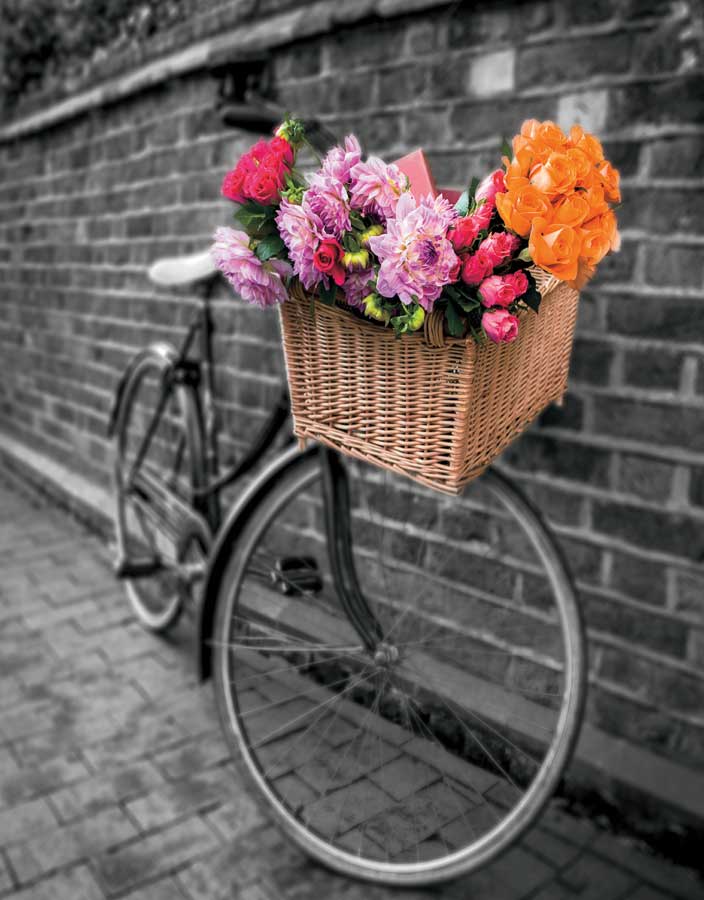 Basket of Flowers II by artist Assaf Frank