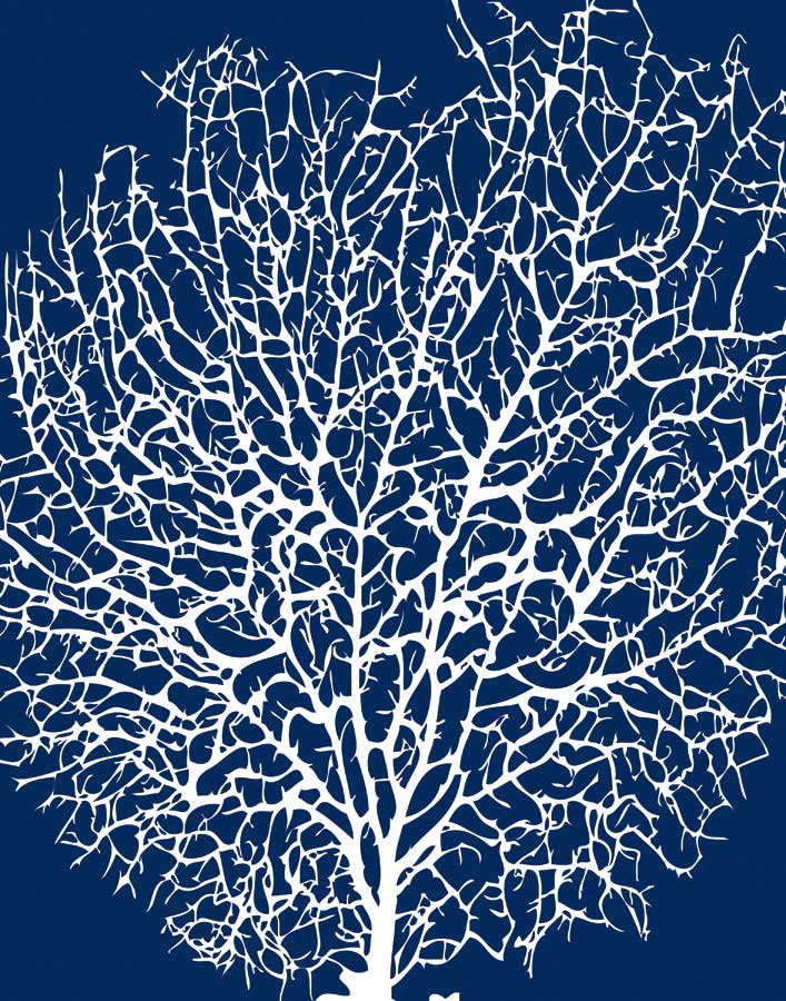 Navy Coral II by artist Sabine Berg