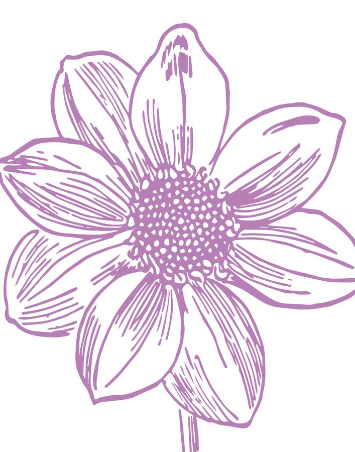 Florette I by artist Sabine Berg