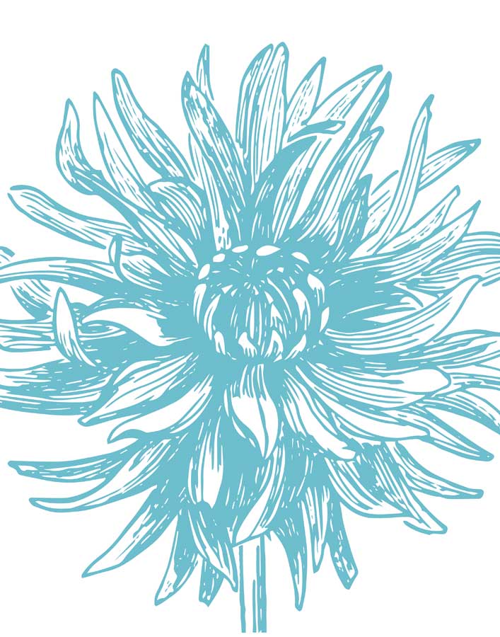 Florette II by artist Sabine Berg