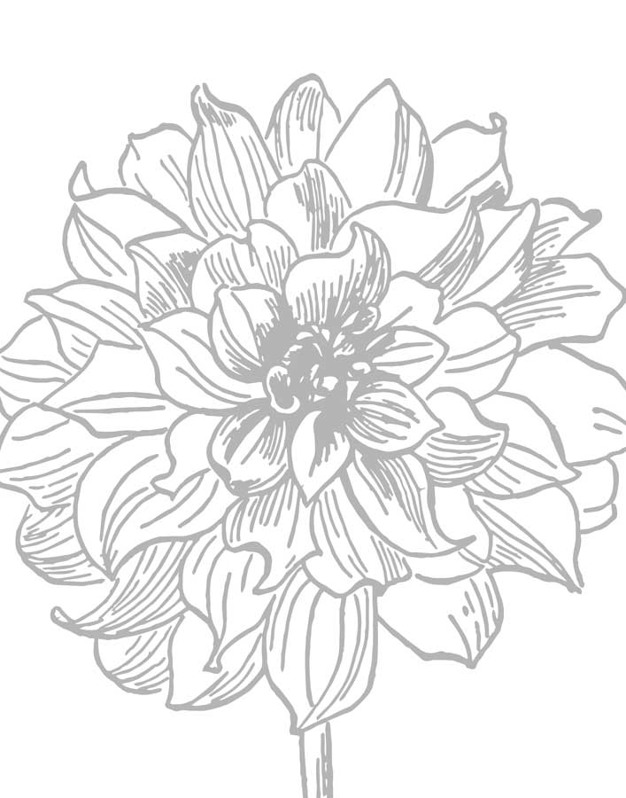 Florette III by artist Sabine Berg