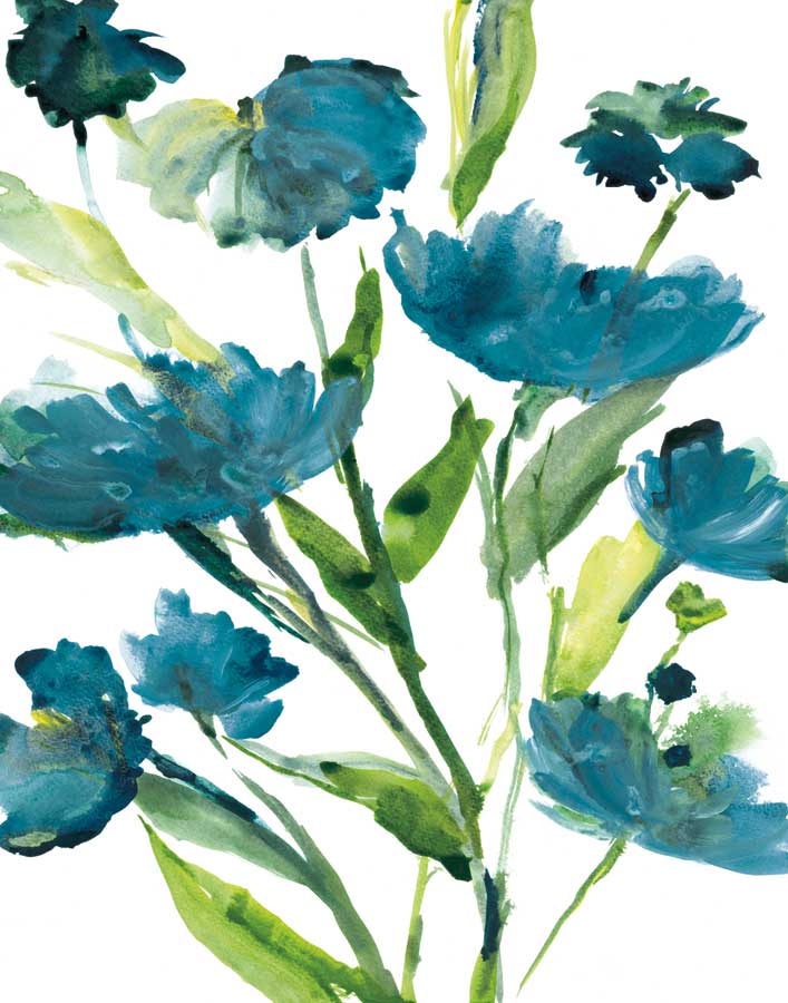 Blueberry Blooms II by artist  Rebecca Meyers