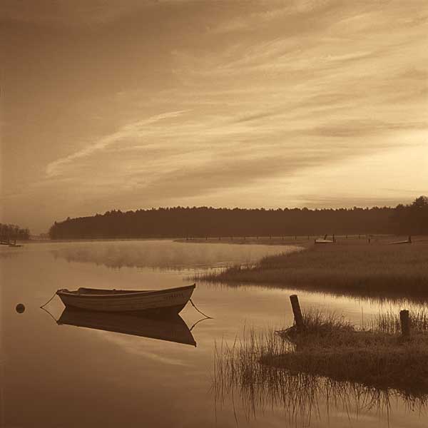 Misty Morning by artist  Mike Sleeper