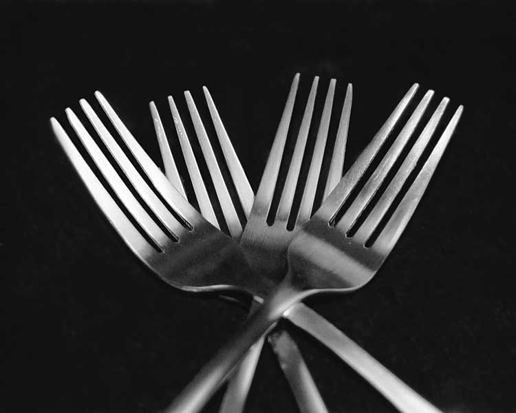 Forks by artist  Mike  Feeley