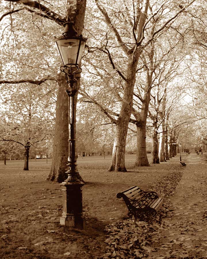 Restful Autumn I by artist  Boyce Watt