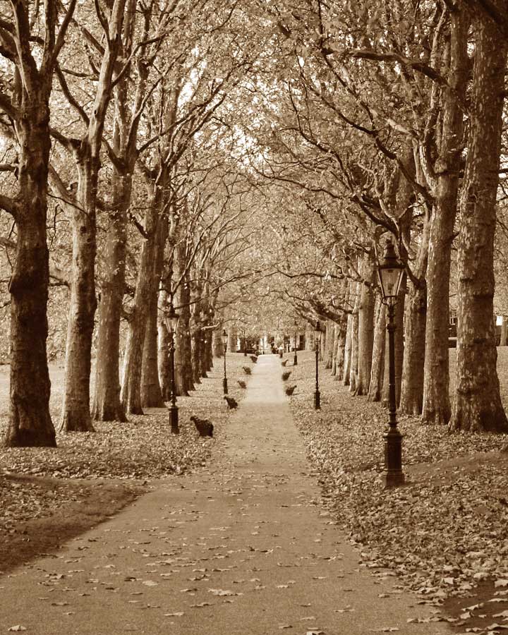 Autumn Stroll II by artist  Boyce Watt