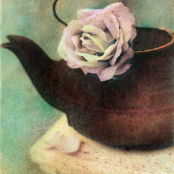 Nature' s Blossoms II by artist  Susan  Friedman