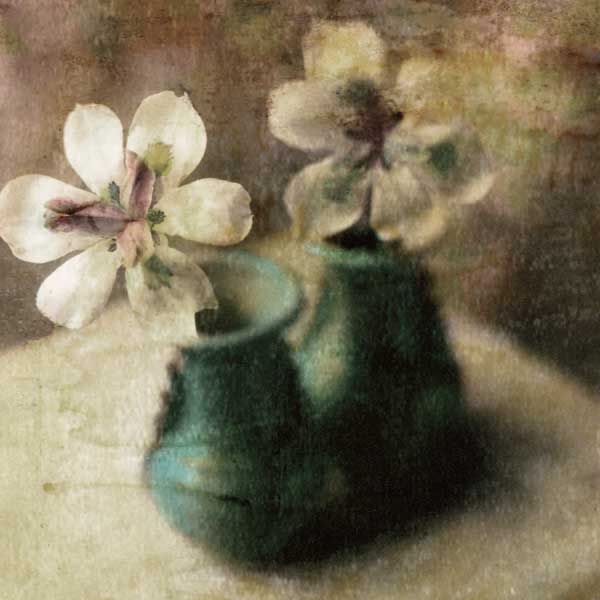 Nature' s Blossoms IV by artist  Susan  Friedman