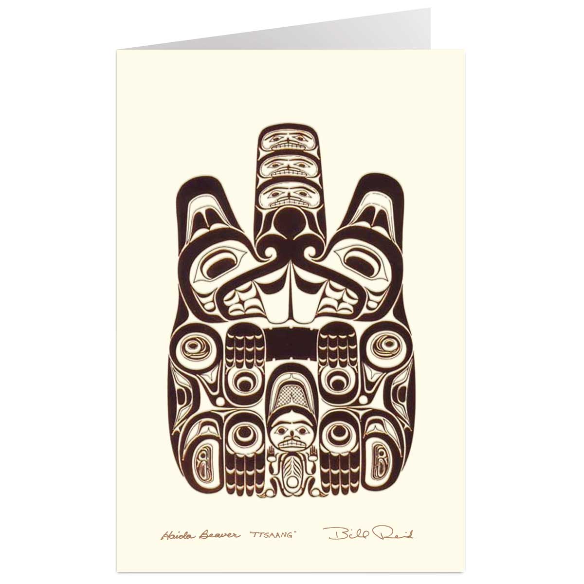 Haida Beaver-Ttsaang