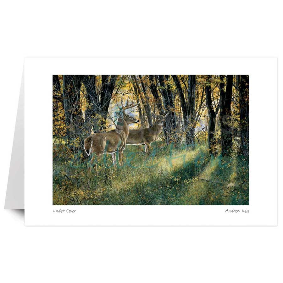 Under Cover by artist Andrew Kiss