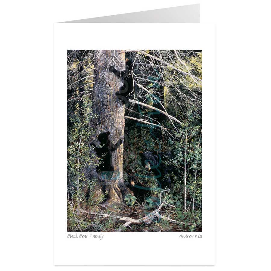 Black Bear Family by artist Andrew Kiss