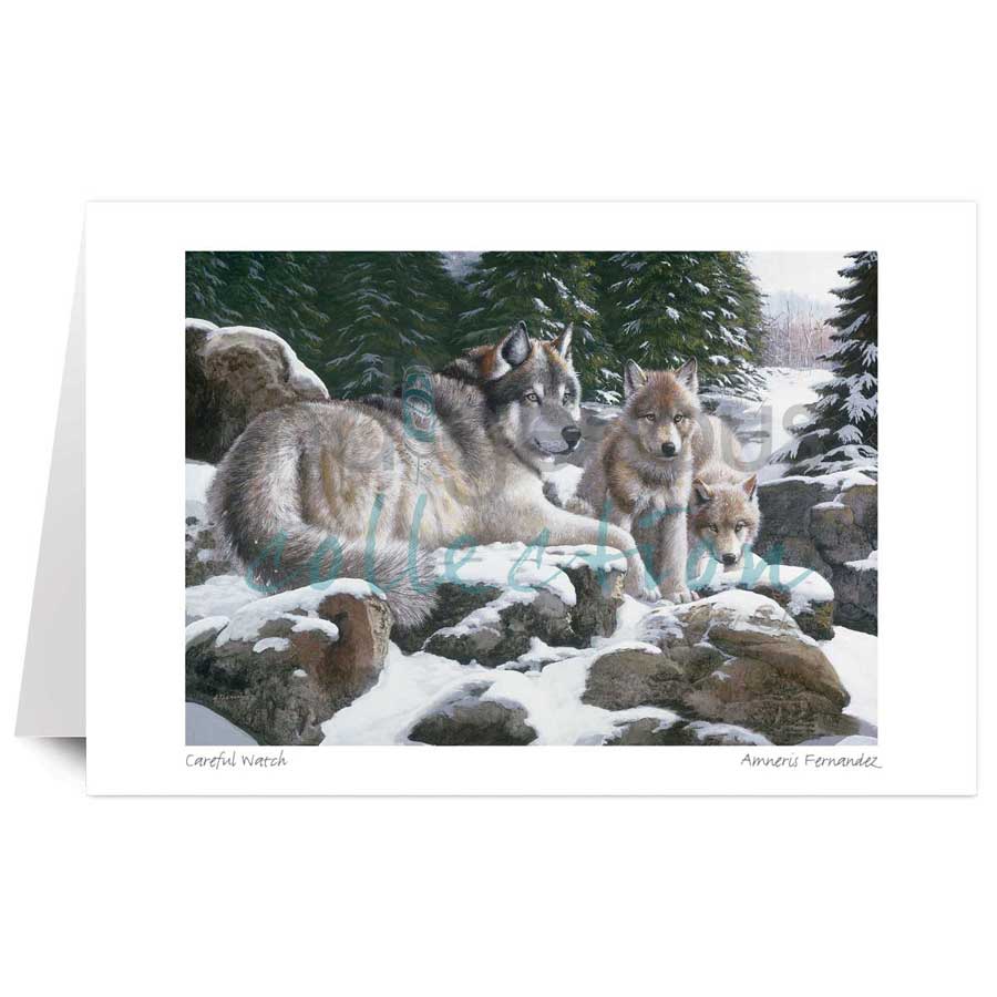 Careful Watch by artist Amneris Fernandez