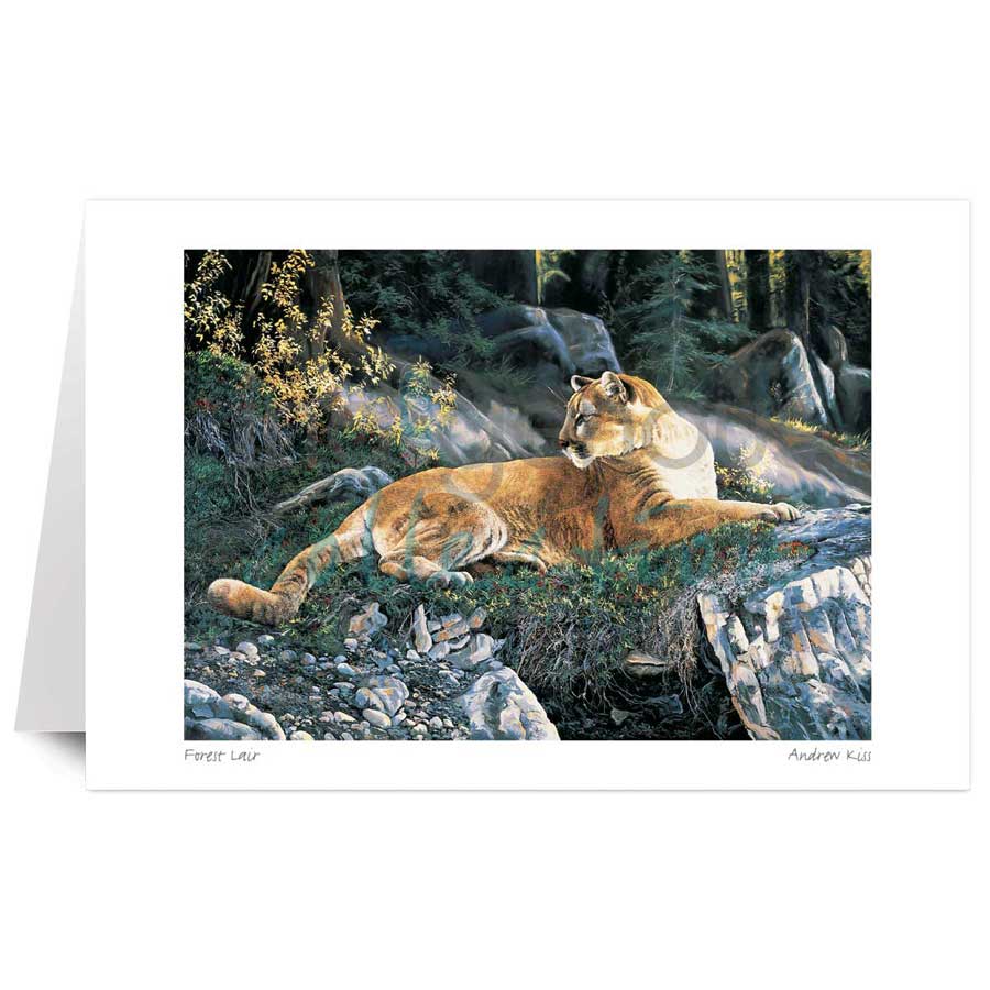 Forest Lair by artist Andrew Kiss