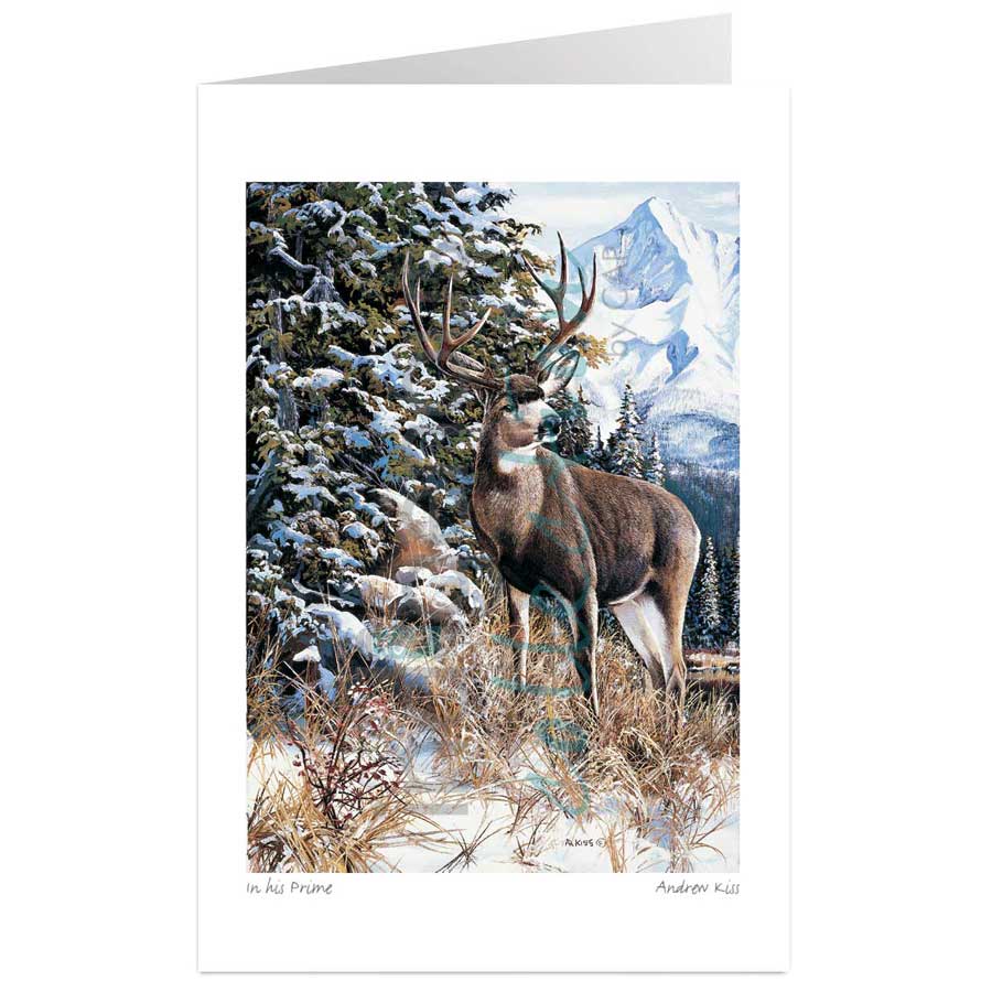 In His Prime by artist Andrew Kiss