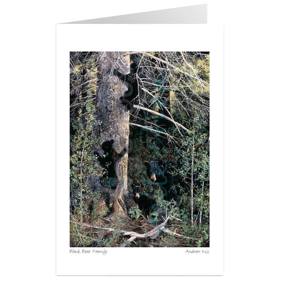 Black Bear Family by artist Andrew Kiss