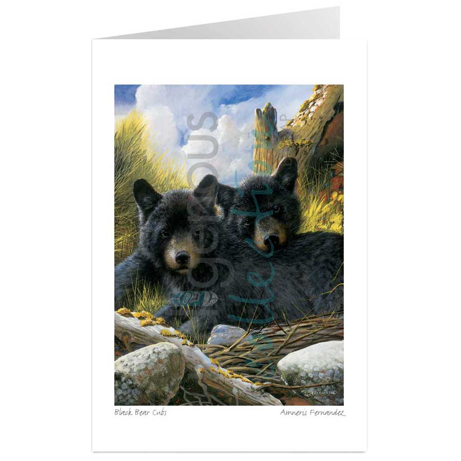 Black Bear Cubs by artist Amneris Fernandez