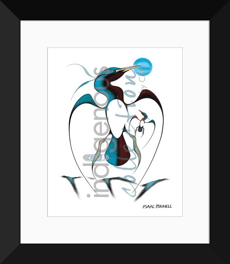 First Flight Limited Edition. Indigenous Collection