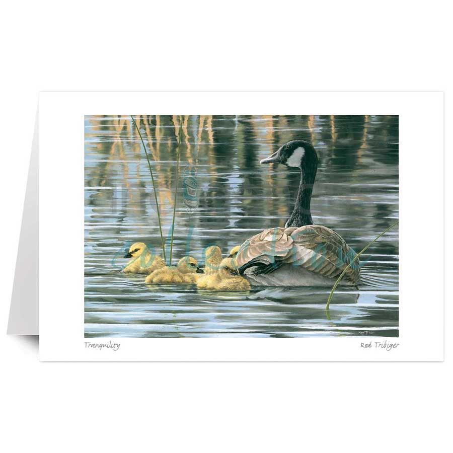 Tranquility by artist Rod Tribiger